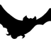 Bat removal-bat control solutions